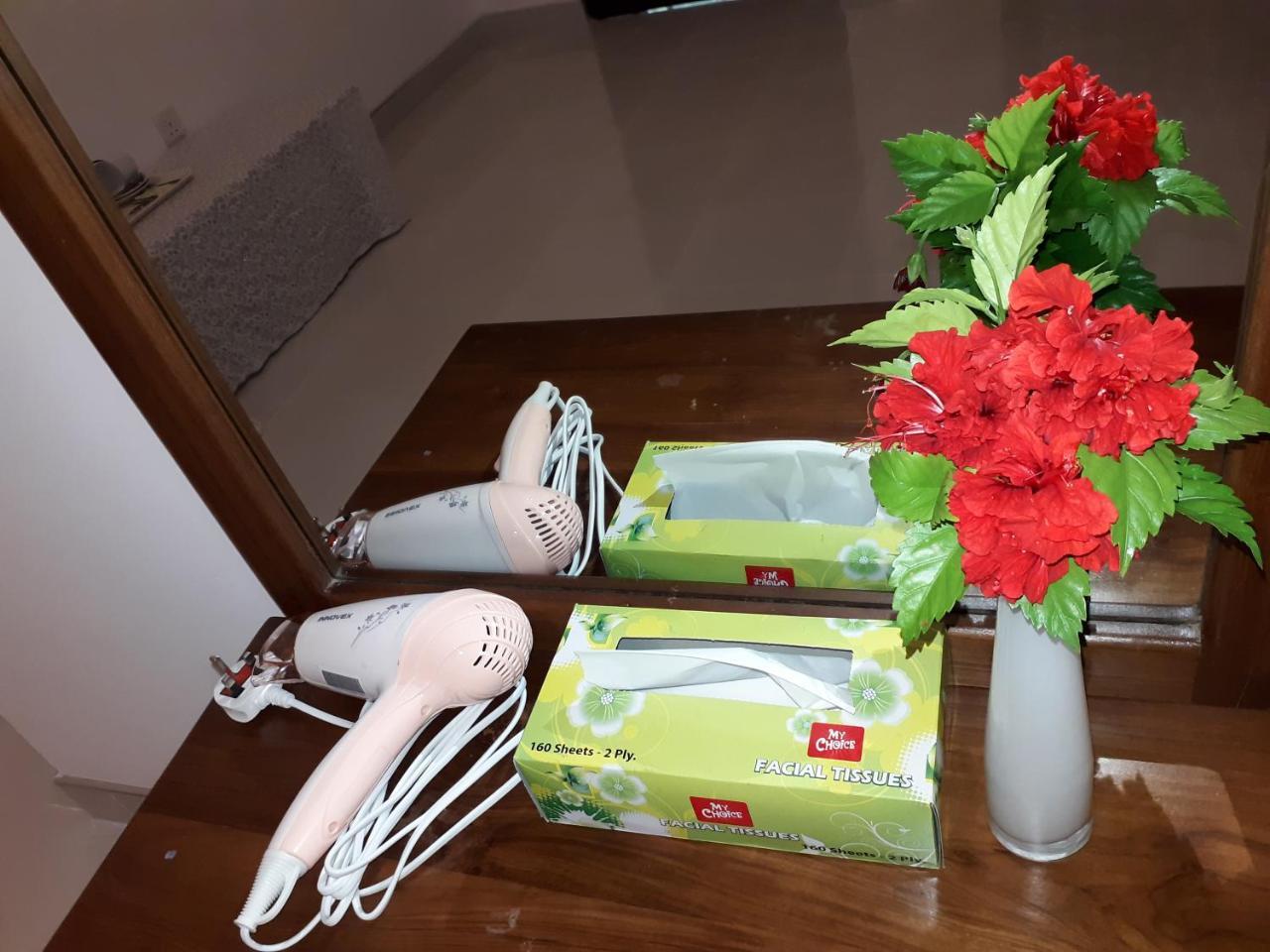 Sigiri Hibiscus Villa Σιγκιρίγια Εξωτερικό φωτογραφία